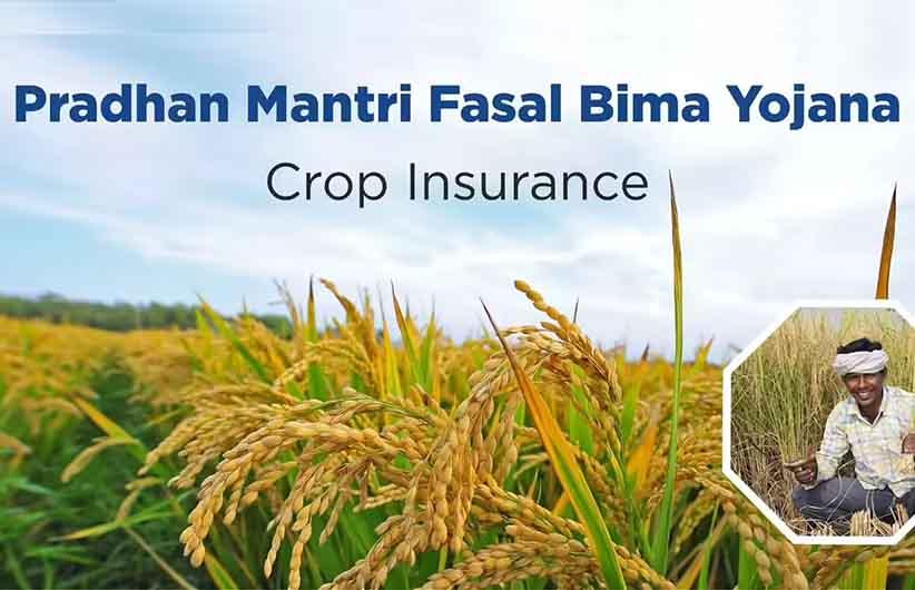 Crop Insurance (Including PM Fasal Bima Yojana)